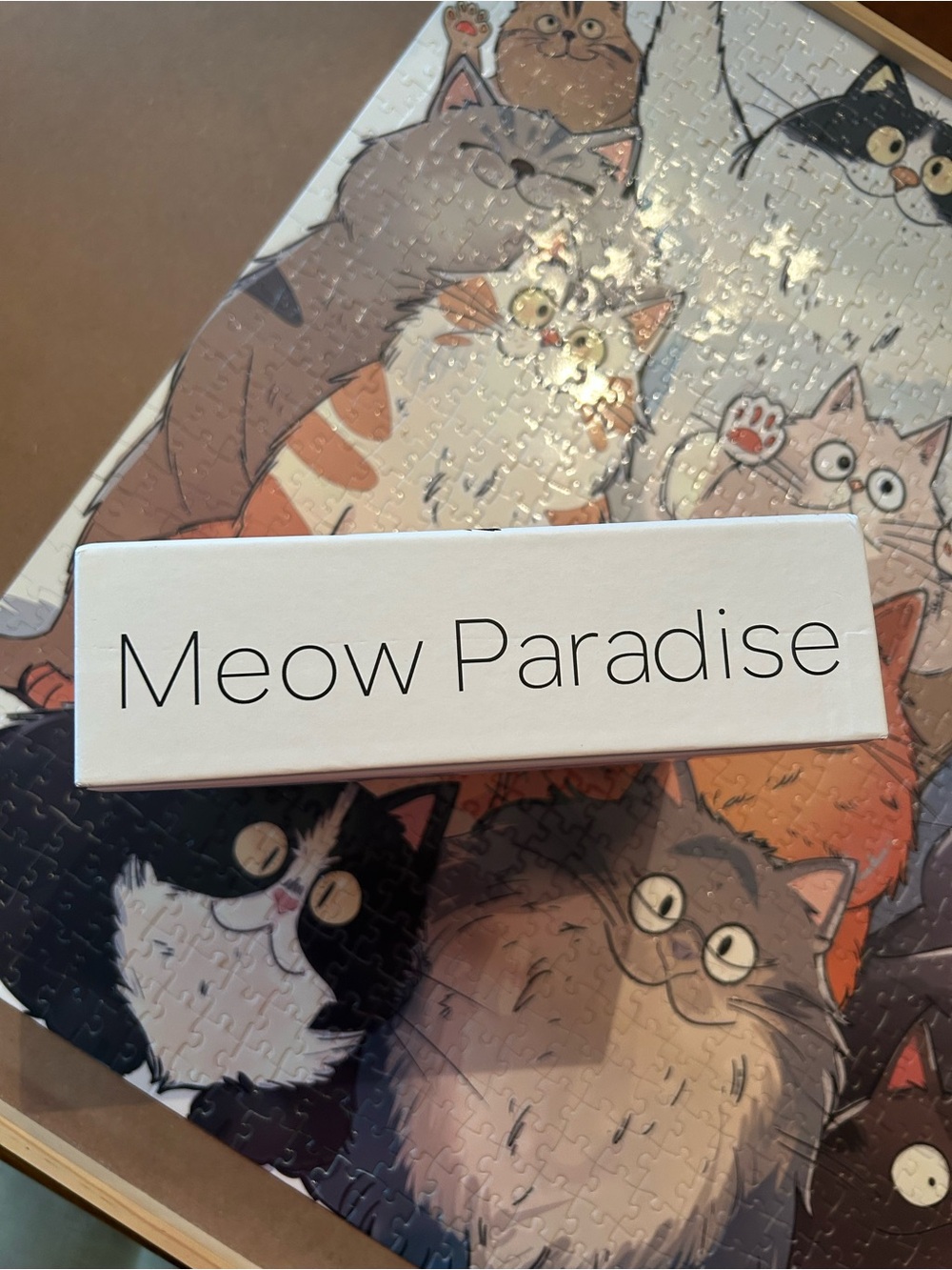 Colorful Cat Crew Puzzle - Multicolored - Picture 3 of 8
